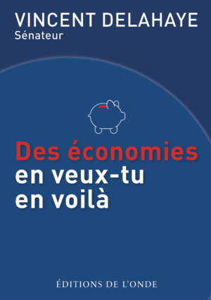 Des économies en veux-tu en voilà - Vincent Delahaye